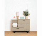 CHALK PAINT CP-29 LINO